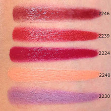 Load image into Gallery viewer, Maqpro Lipstick Palette R23 (0.5oz./15ml. Slim)