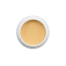 Load image into Gallery viewer, William Tuttle Hi-Lite