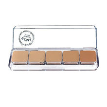 Load image into Gallery viewer, RCMA 5 Part Series Foundation Palette
