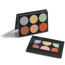 Load image into Gallery viewer, Mehron Celebré Pro-HD Correct-It Palette (605-N-PAL)
