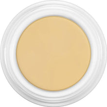 Load image into Gallery viewer, Kryolan Dermacolor Camouflage Creme 4G
